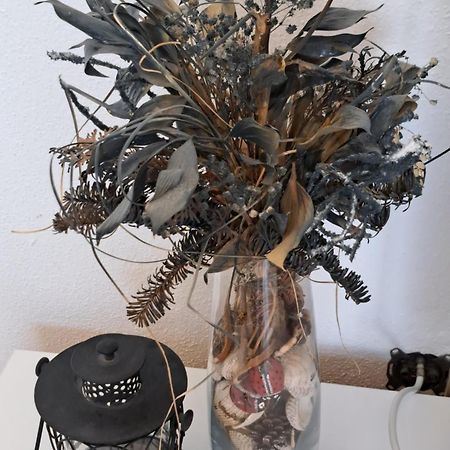 Apartment Oaza Mira Tribalj 外观 照片