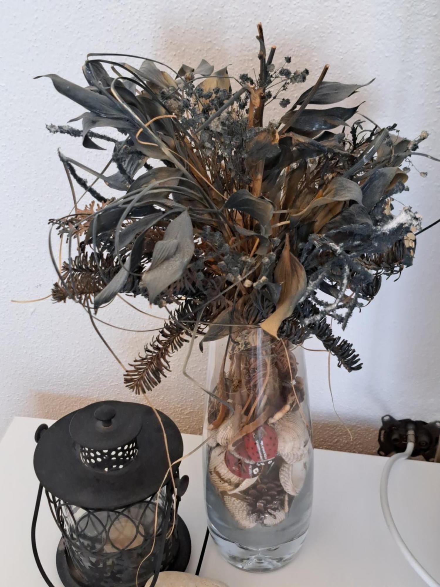 Apartment Oaza Mira Tribalj 外观 照片